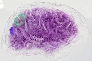 Neuroplasticidad